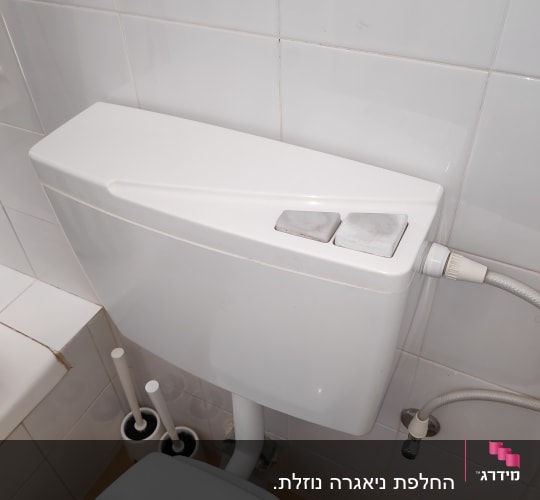 לפני